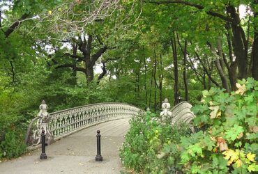 Les meilleurs parcs de New York