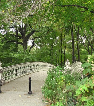 Les meilleurs parcs de New York